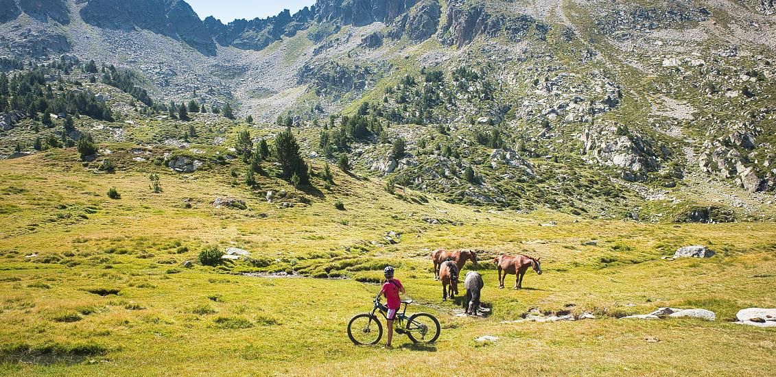Cycle tourism