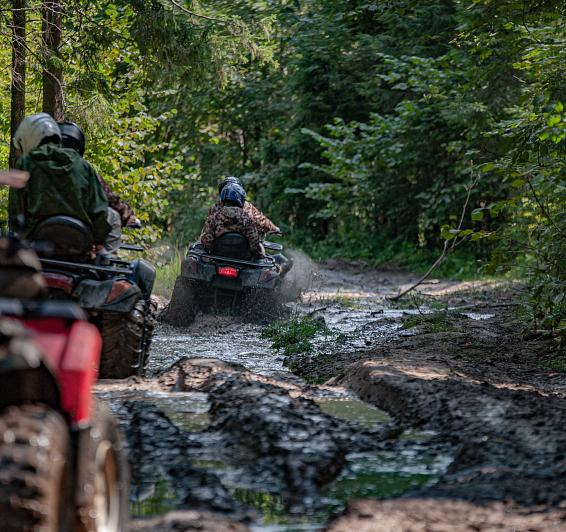 Buggy tours