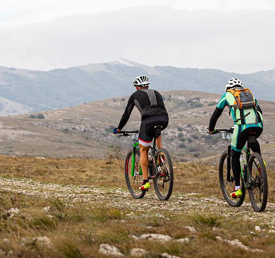 VTT