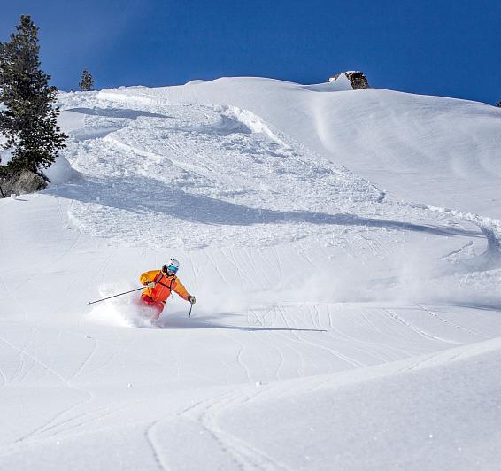 Freeride