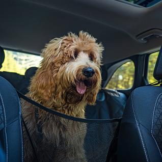 La teva mascota és benvinguda
