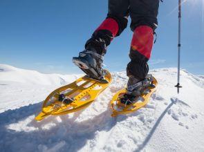 Raquetas de nieve